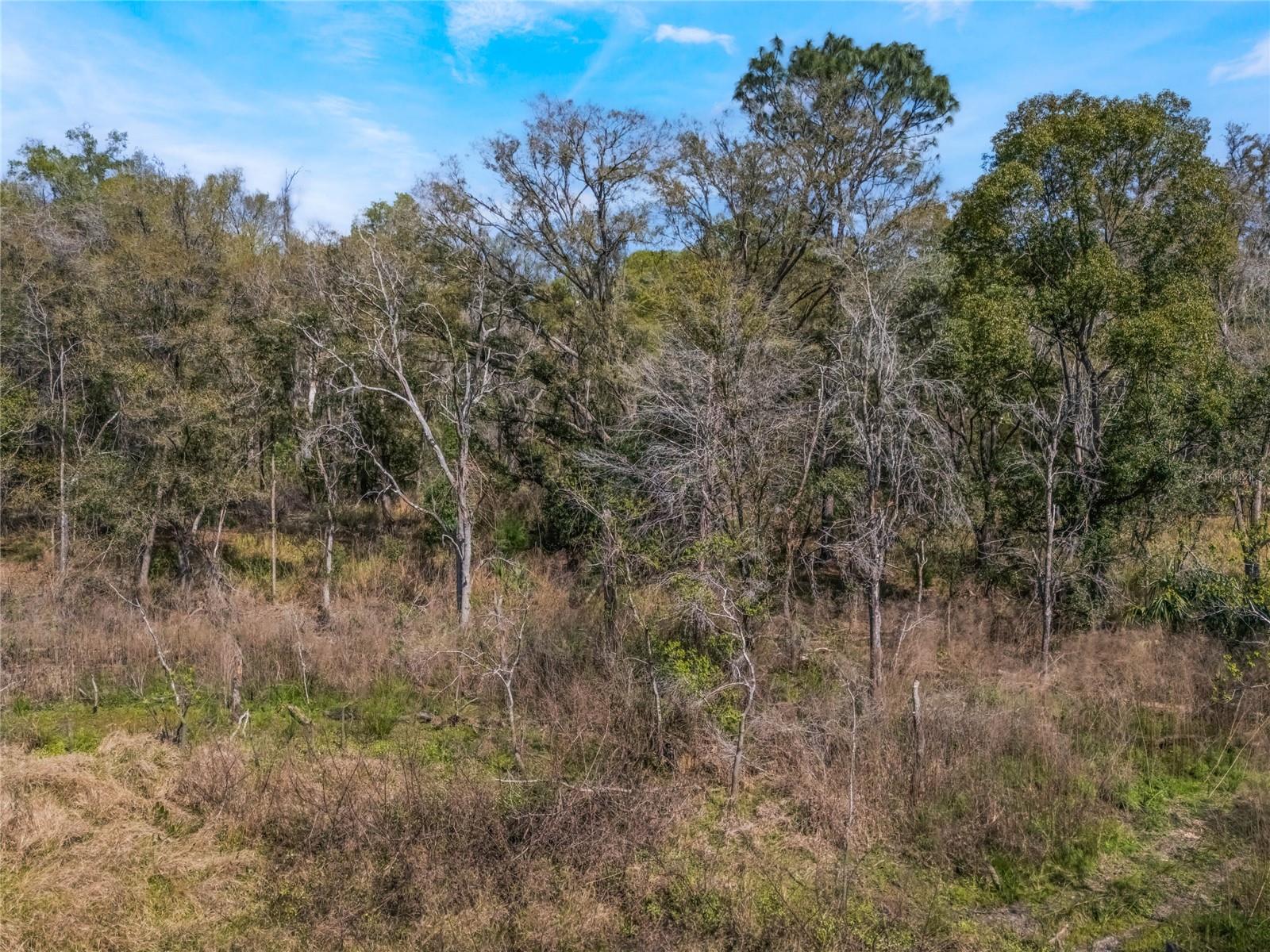2208 EISENHOWER ST, INVERNESS, FL, 34453