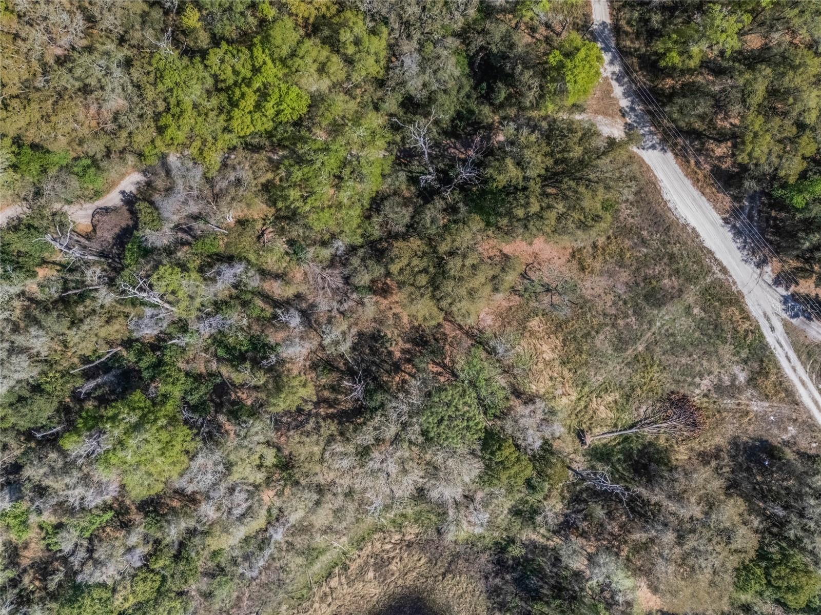 2208 EISENHOWER ST, INVERNESS, FL, 34453