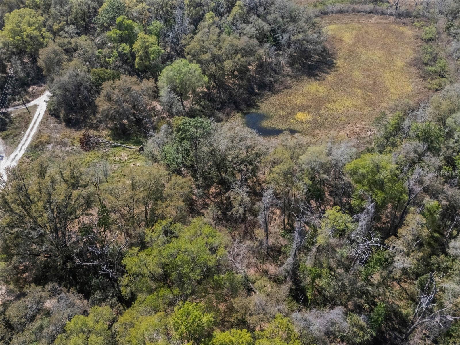 2208 EISENHOWER ST, INVERNESS, FL, 34453