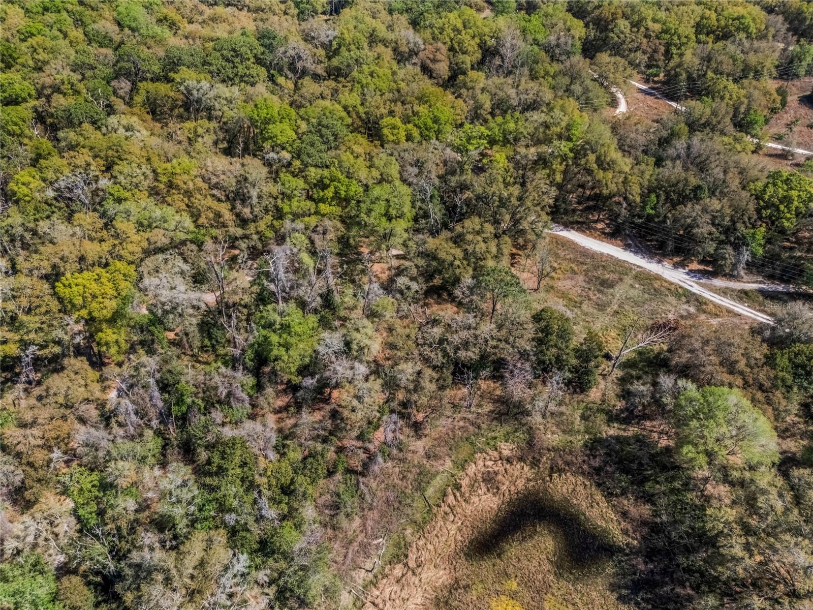 2208 EISENHOWER ST, INVERNESS, FL, 34453