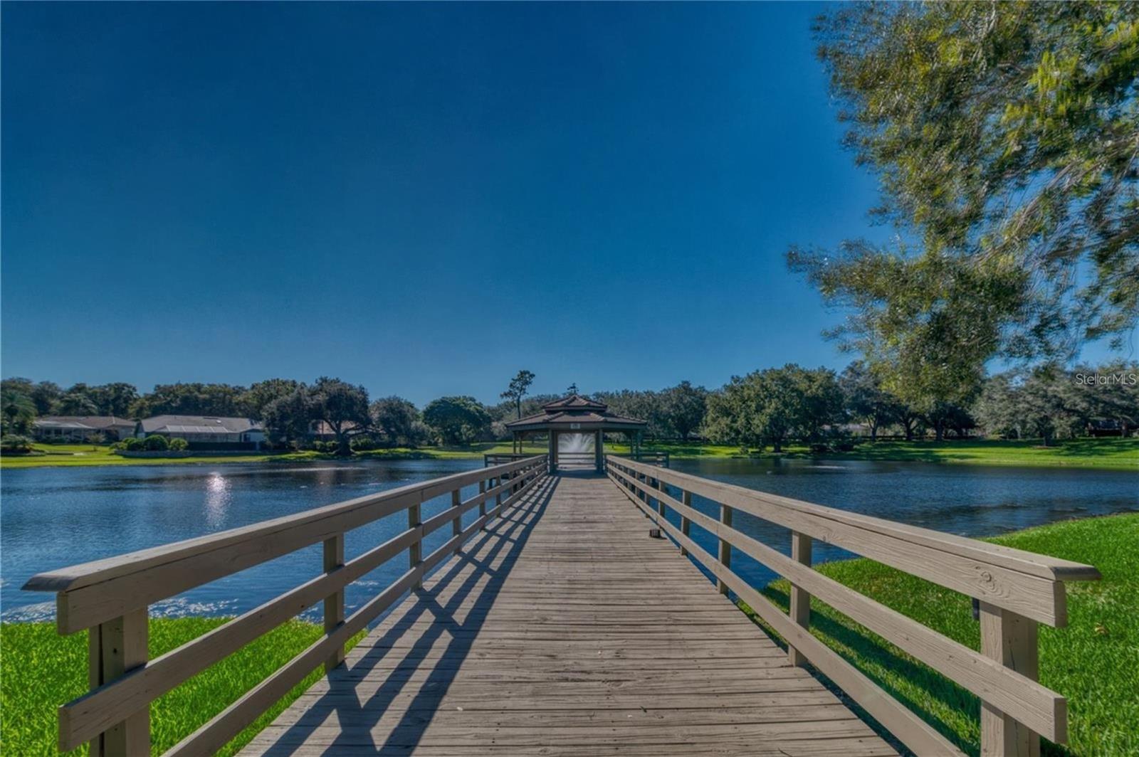 2349 PINNACLE CIR N, PALM HARBOR, FL, 34684