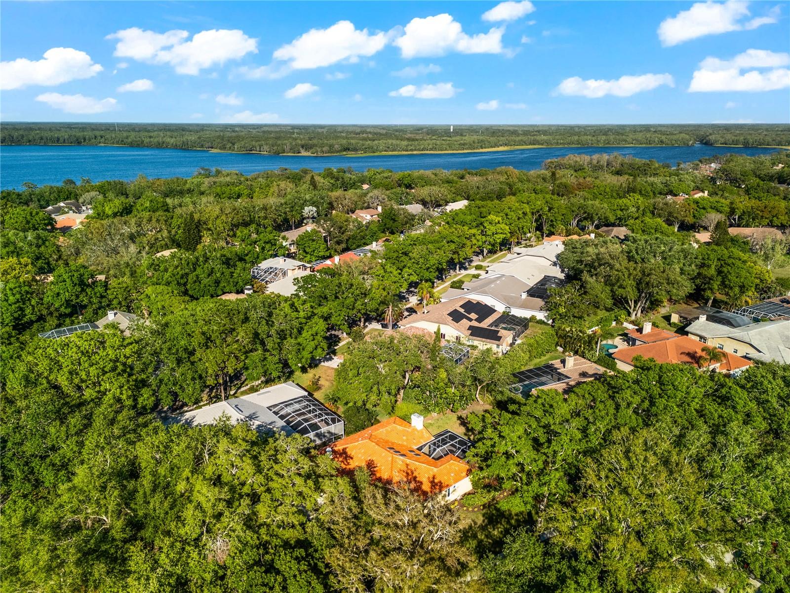 2349 PINNACLE CIR N, PALM HARBOR, FL, 34684