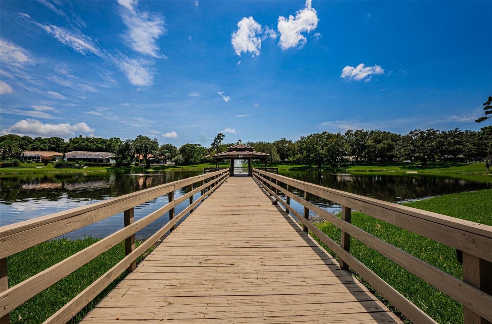 2349 PINNACLE CIR N, PALM HARBOR, FL, 34684