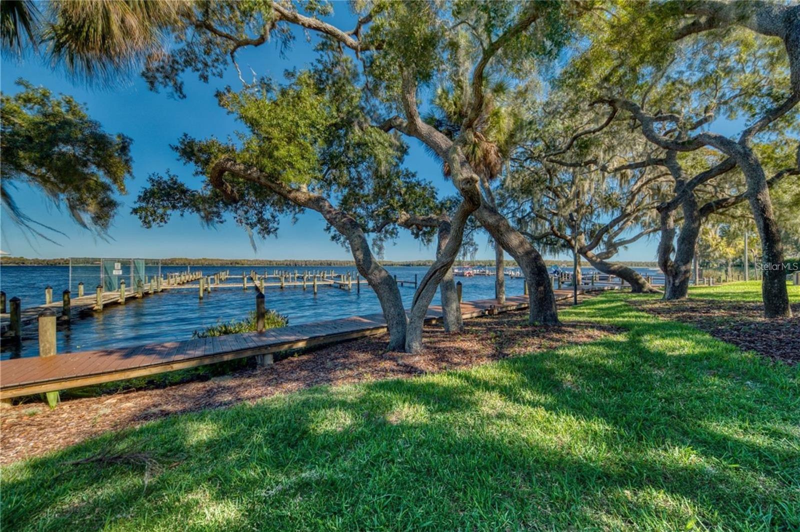 2349 PINNACLE CIR N, PALM HARBOR, FL, 34684
