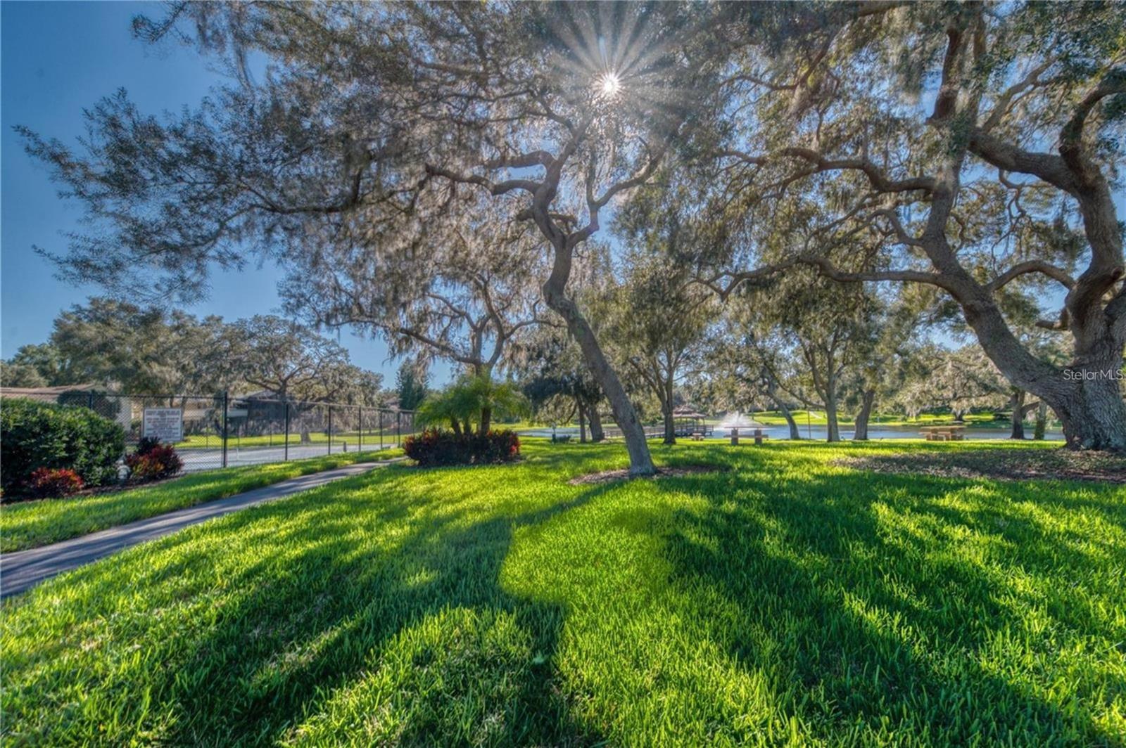 2349 PINNACLE CIR N, PALM HARBOR, FL, 34684