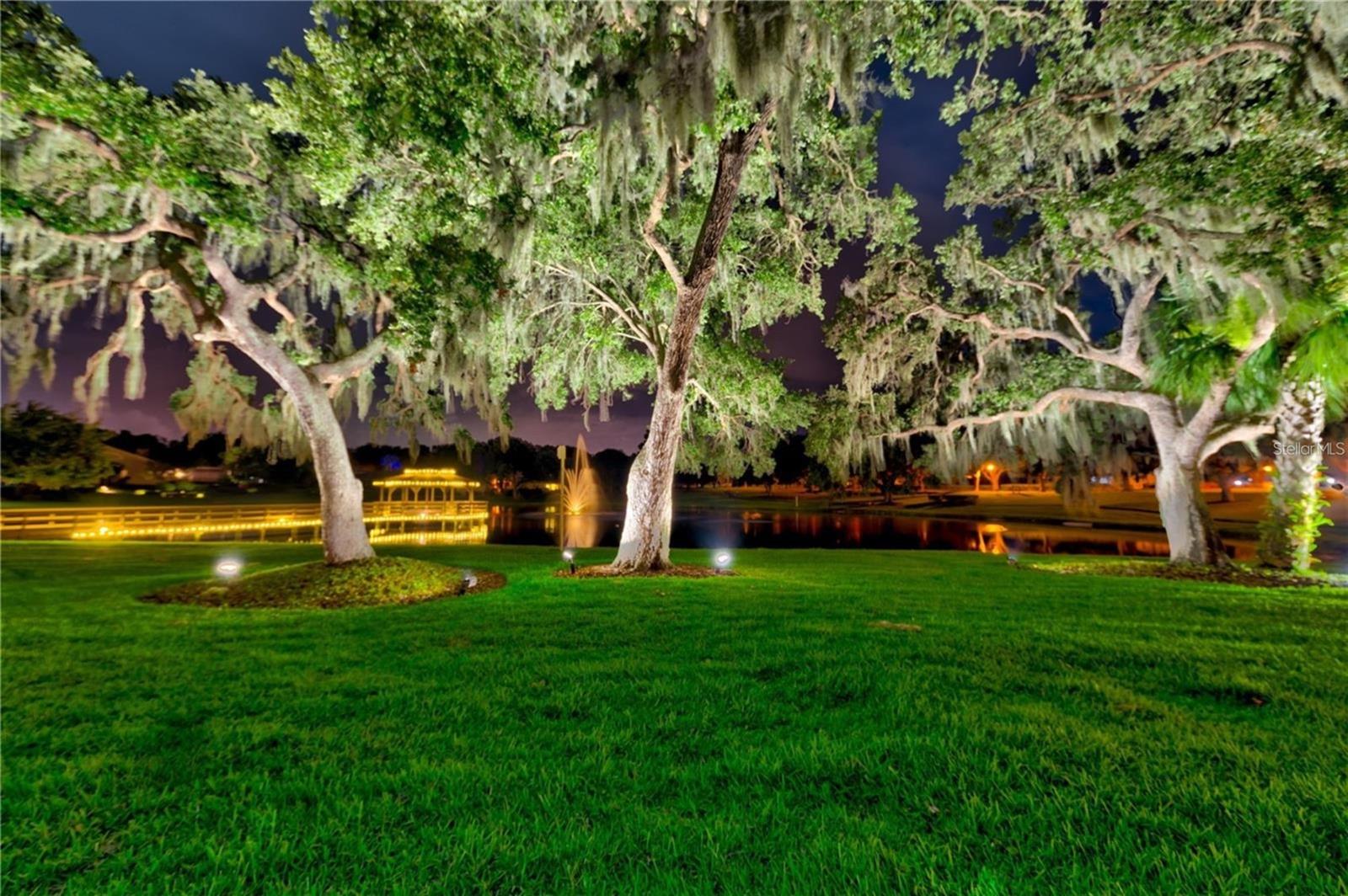 2349 PINNACLE CIR N, PALM HARBOR, FL, 34684