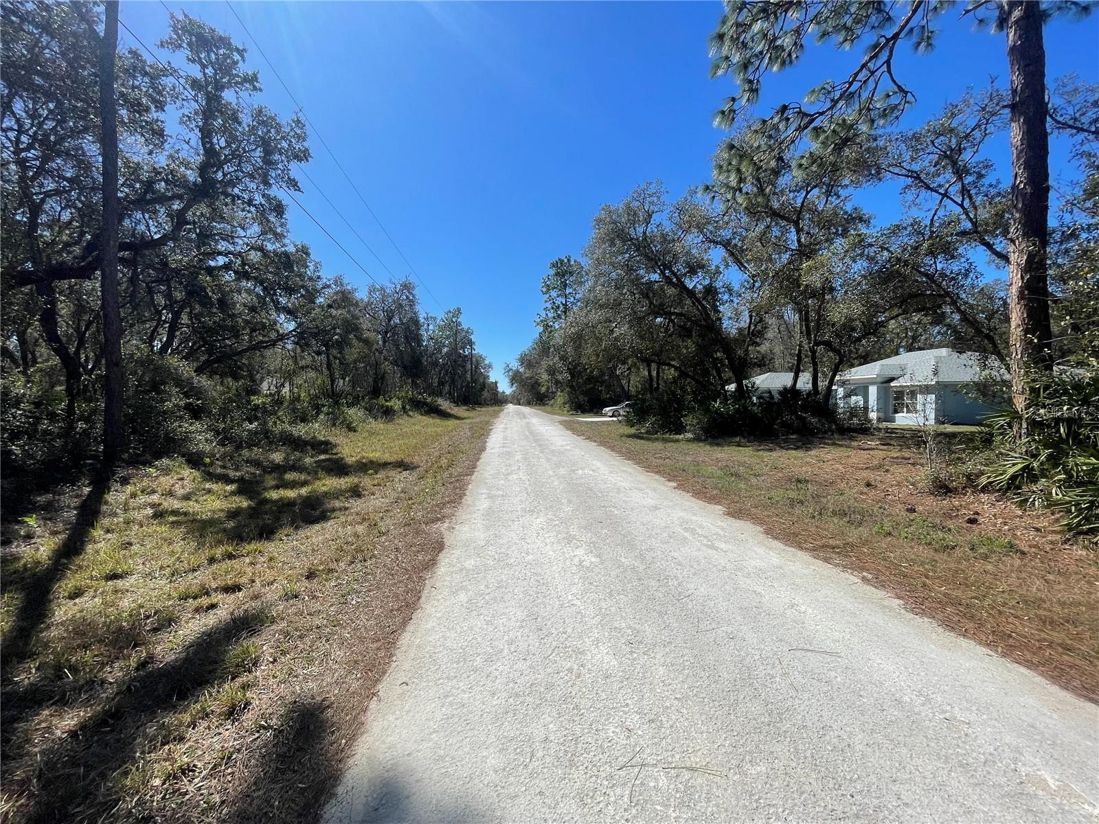 8290 CASHEW DR, WEBSTER, FL, 33597