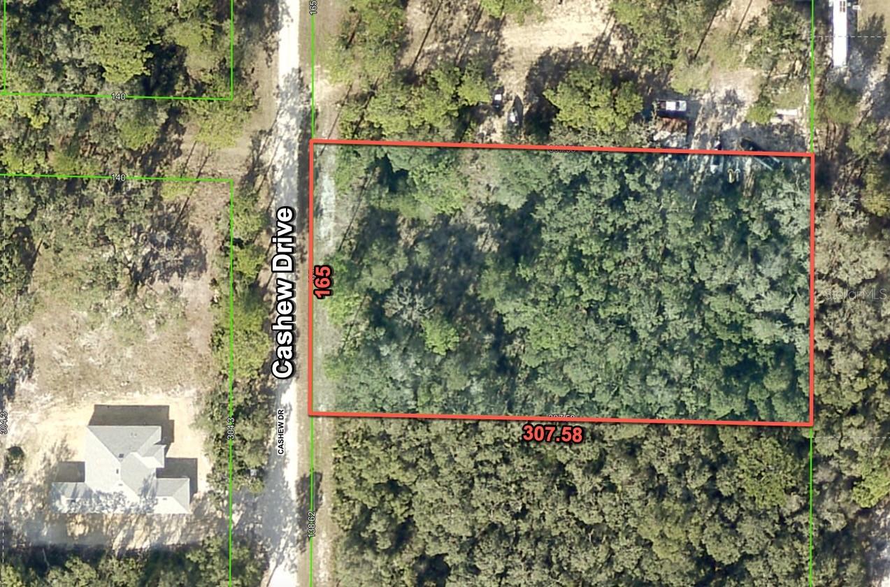 8290 CASHEW DR, WEBSTER, FL, 33597