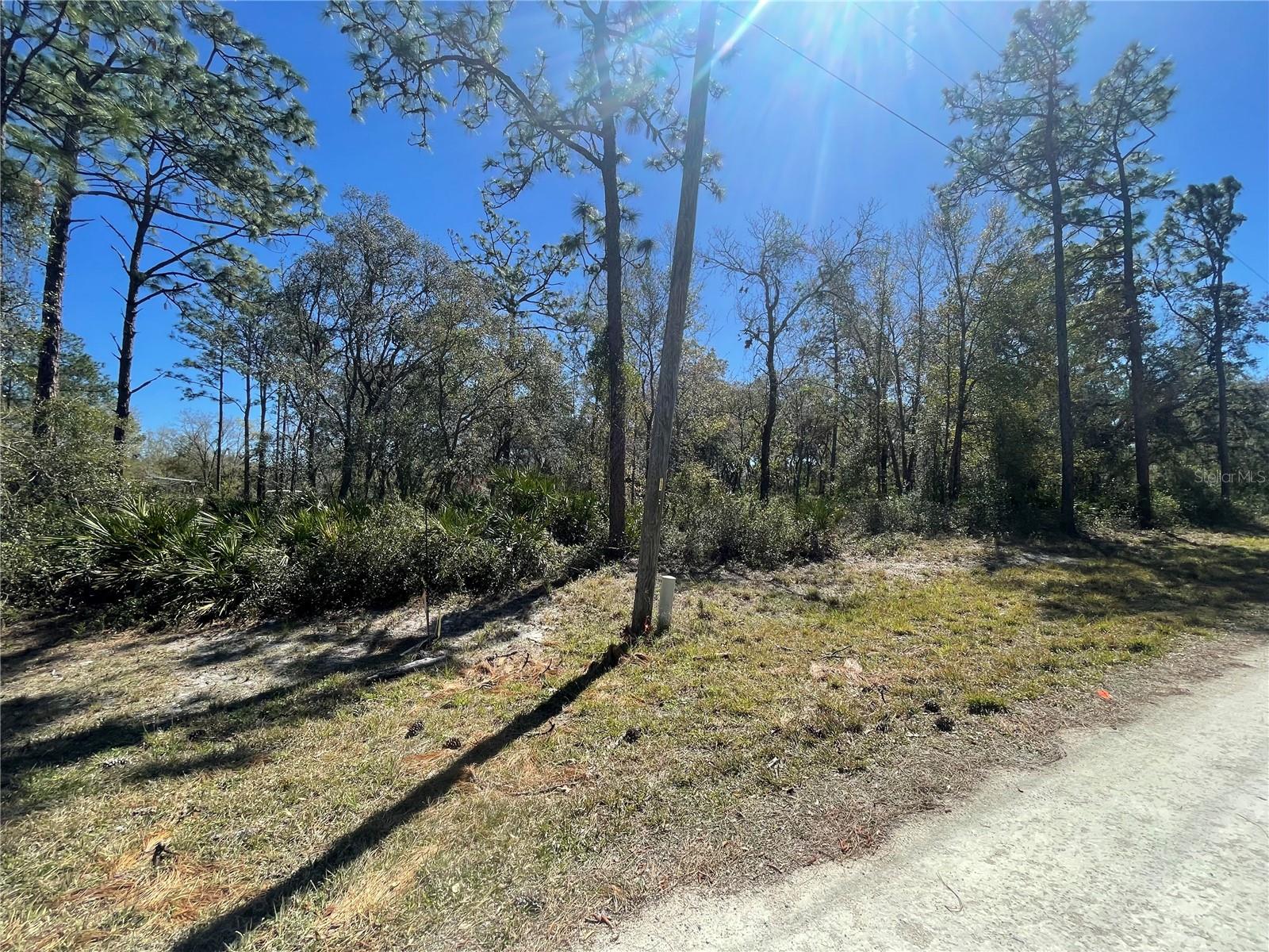 8290 CASHEW DR, WEBSTER, FL, 33597