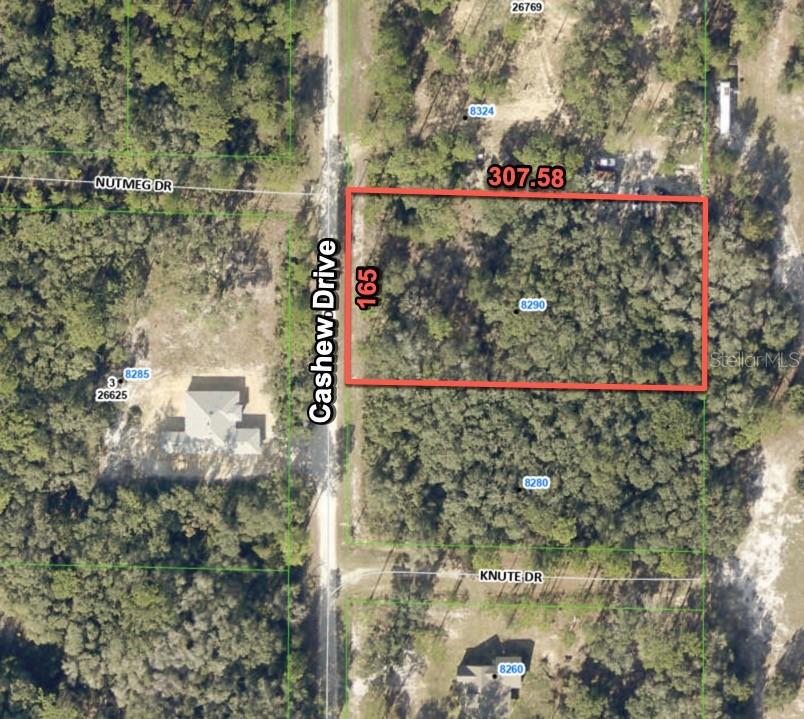 8290 CASHEW DR, WEBSTER, FL, 33597