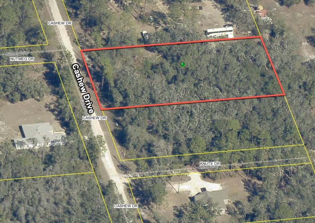 8290 CASHEW DR, WEBSTER, FL, 33597