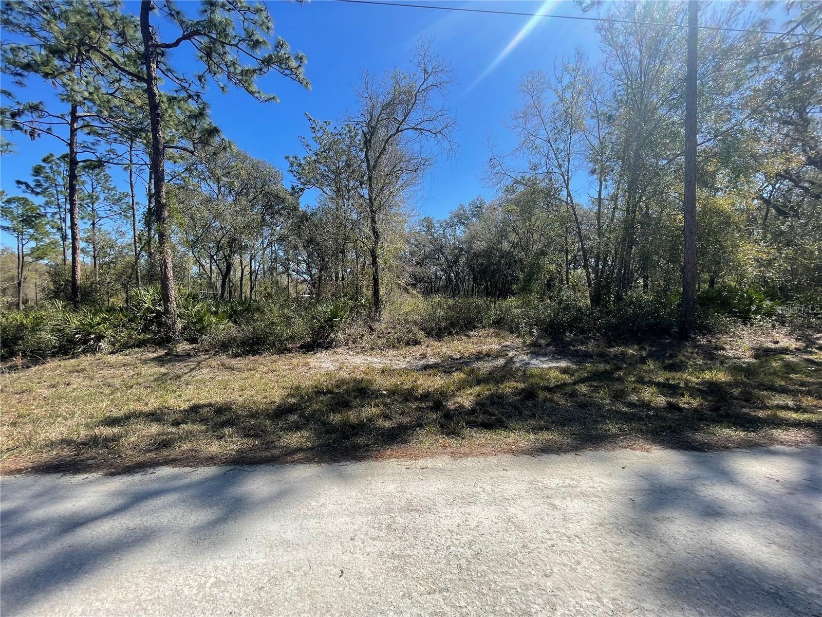 8290 CASHEW DR, WEBSTER, FL, 33597