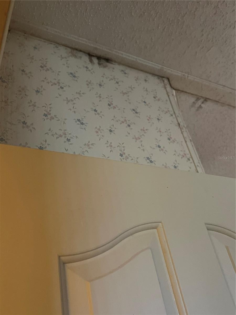 9512 JOE ST, HUDSON, FL, 34669