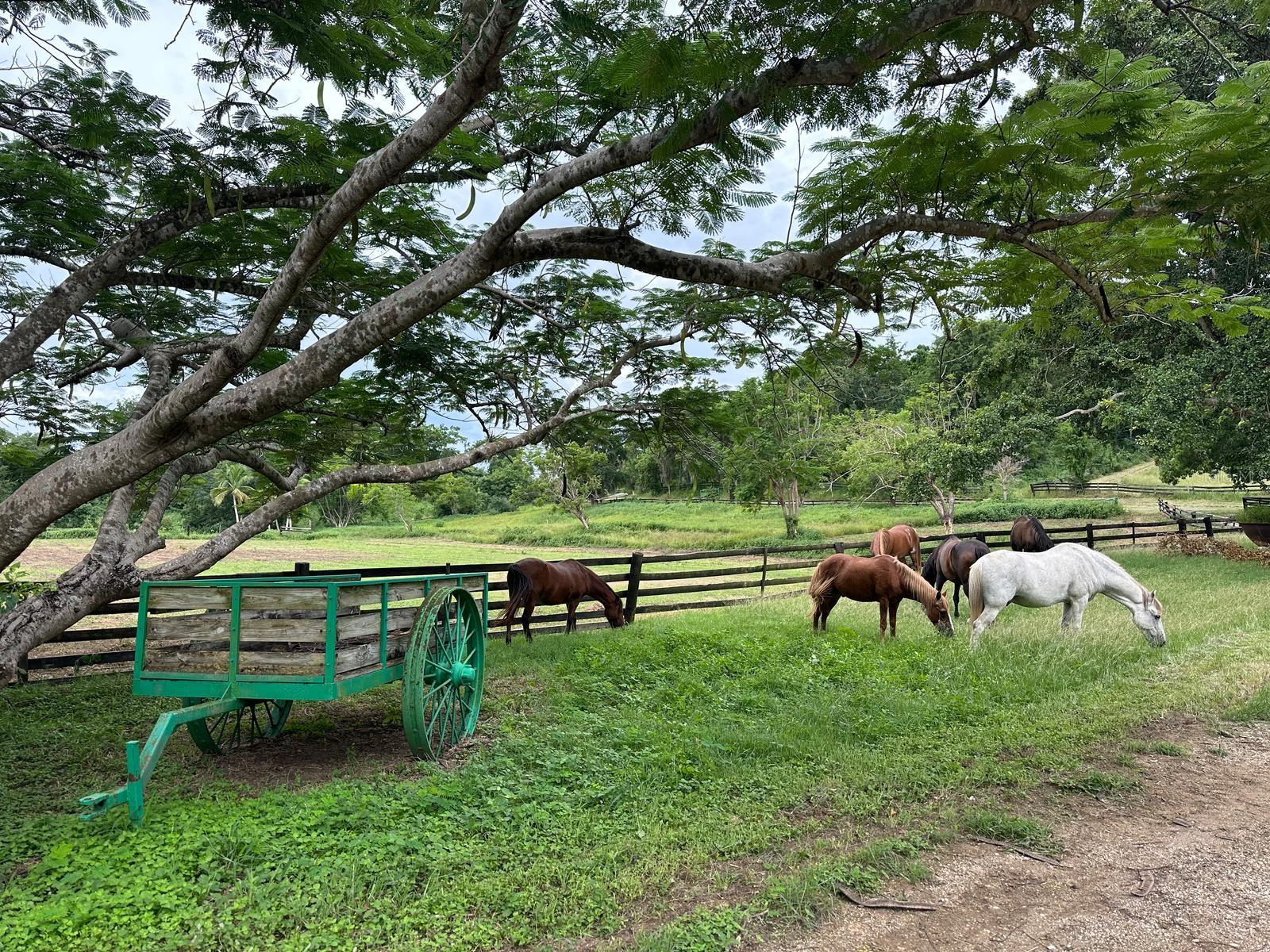 PR9112405 Property Photo