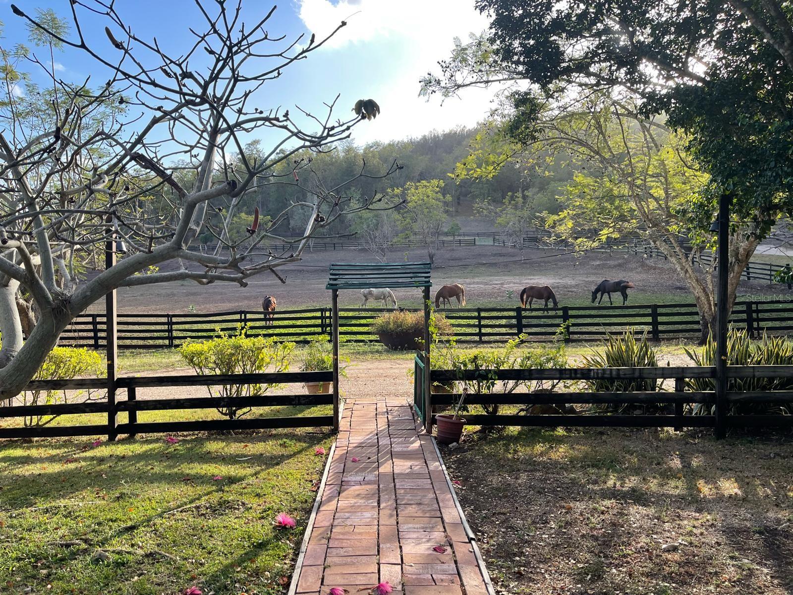 PR9112405 Property Photo