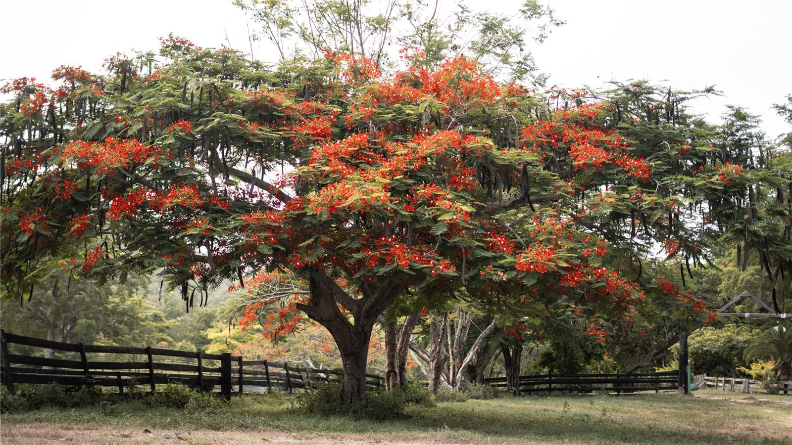 PR9112405 Property Photo