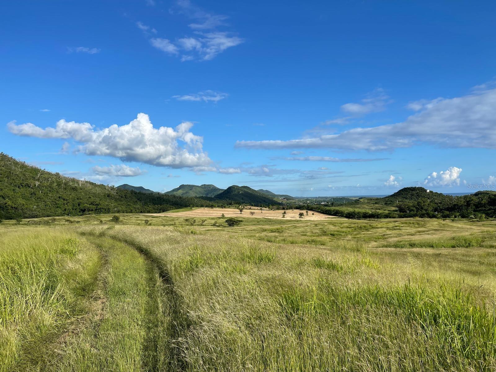 PR9112405 Property Photo