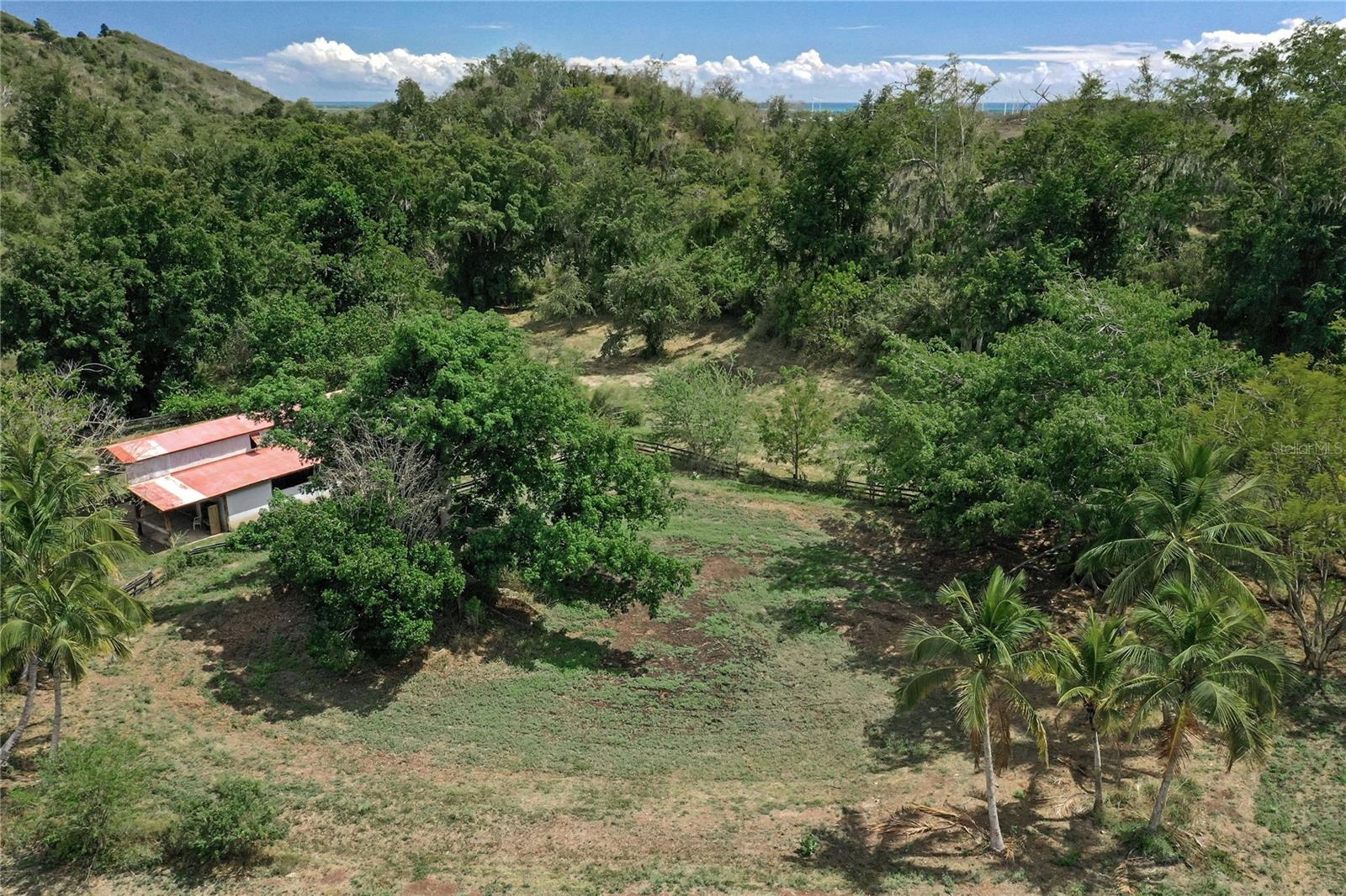 PR9112405 Property Photo