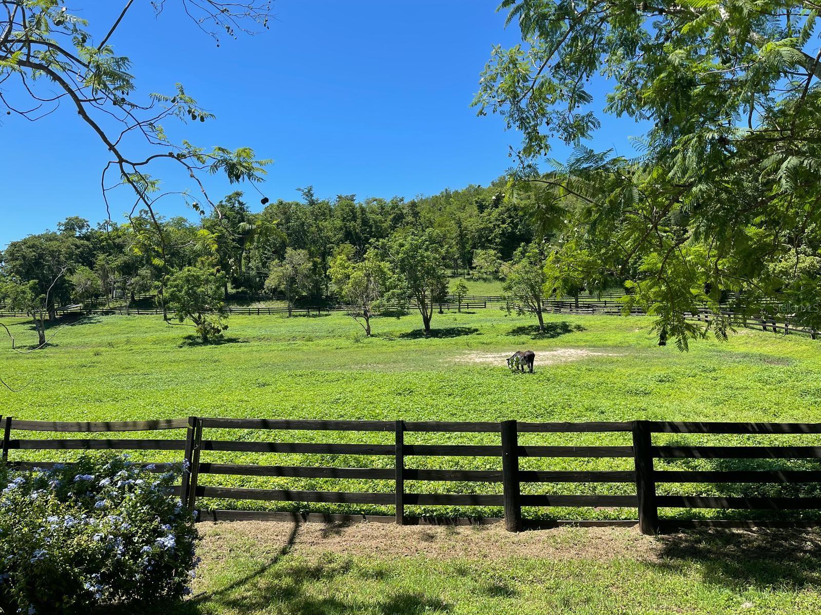 PR9112405 Property Photo