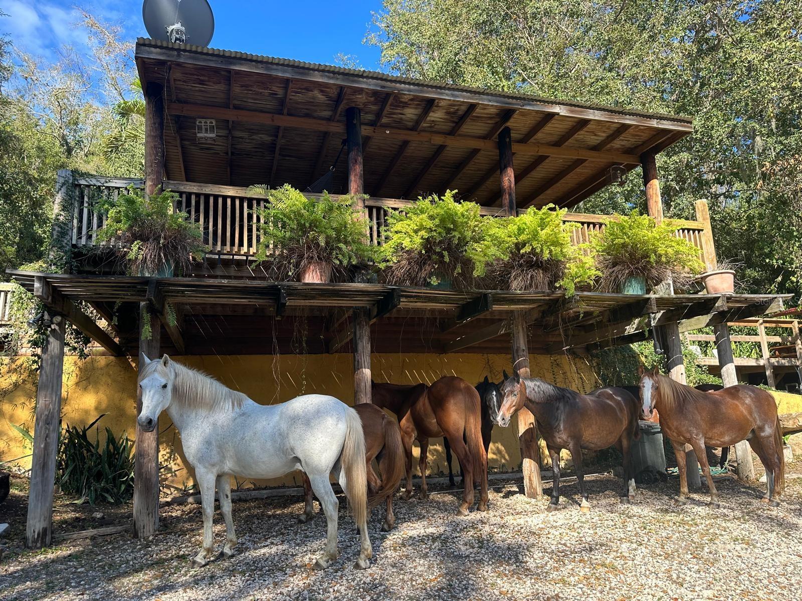 PR9112405 Property Photo