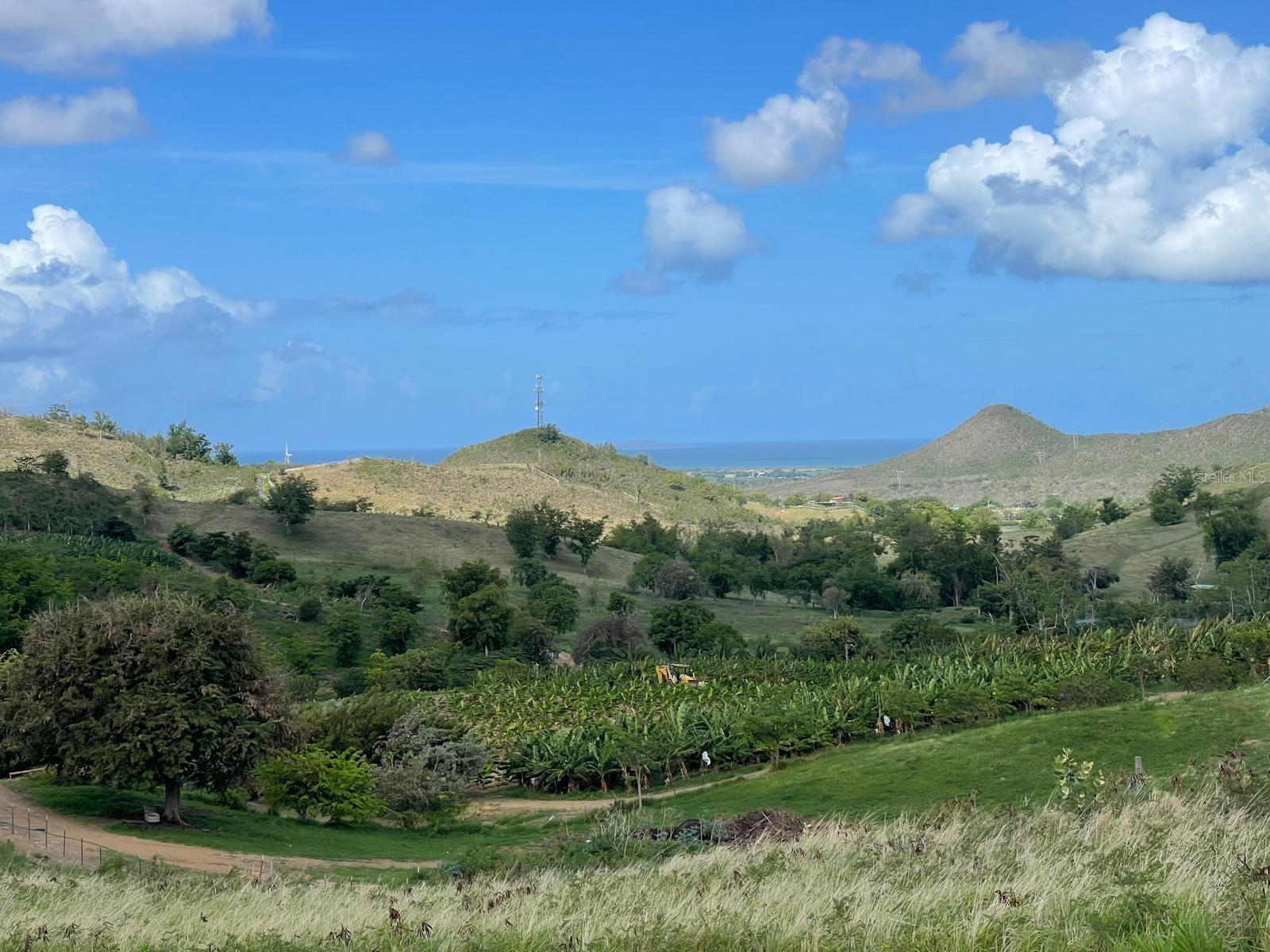 PR9112405 Property Photo