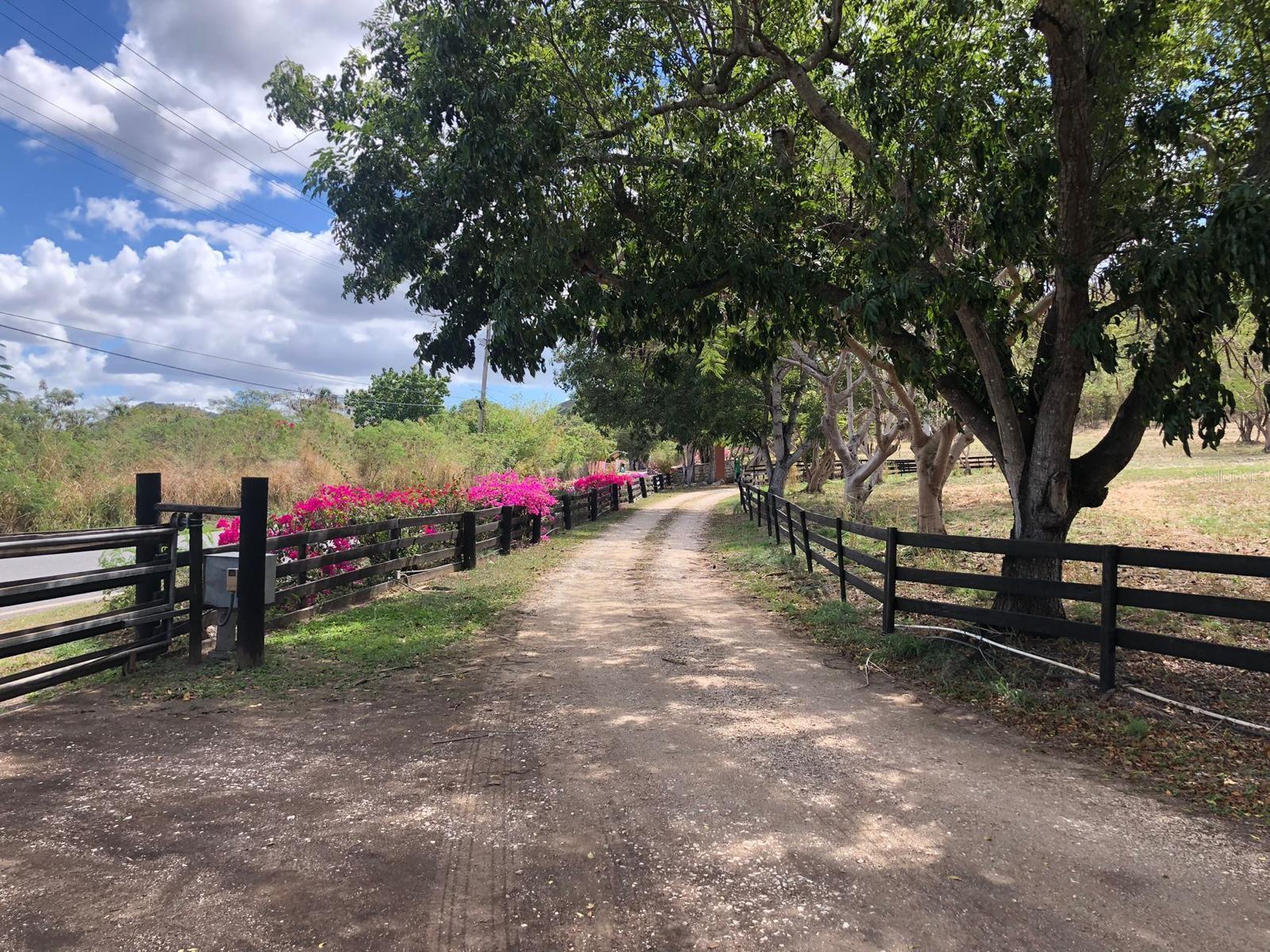 PR9112405 Property Photo