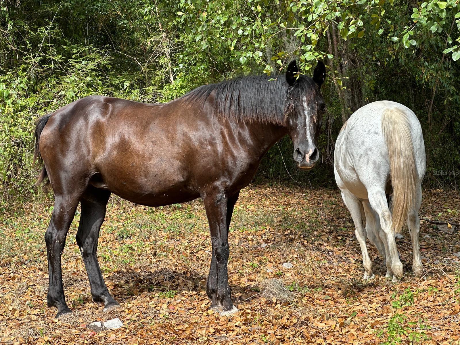 PR9112405 Property Photo