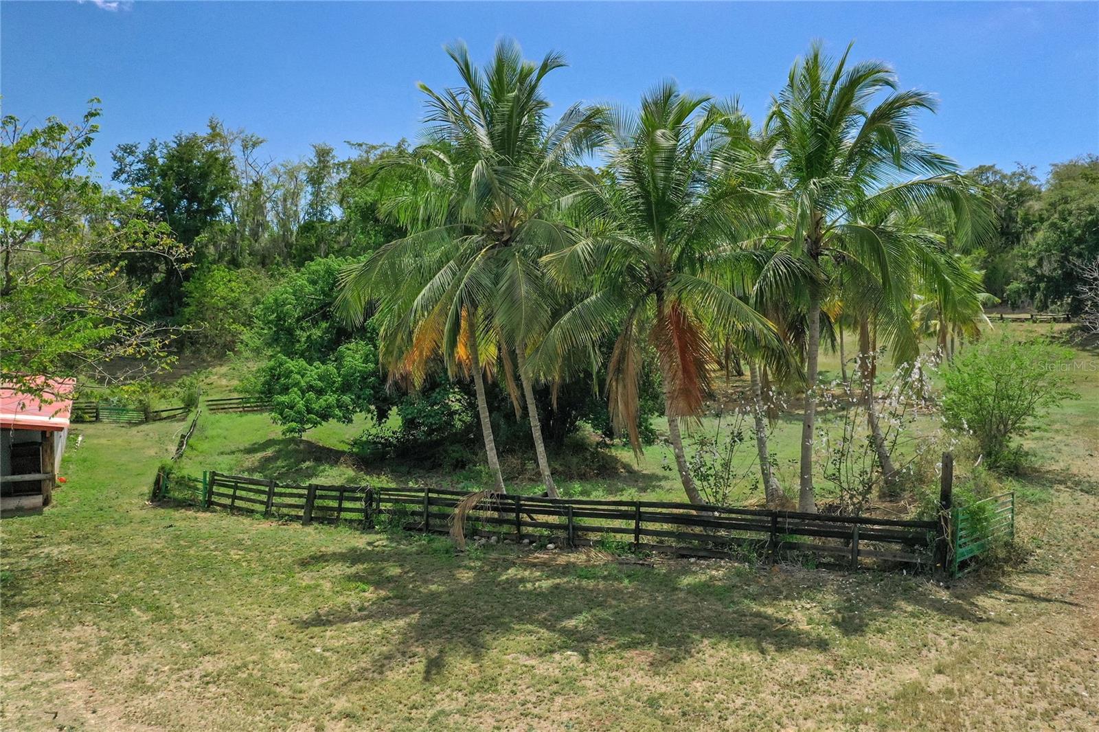 PR9112405 Property Photo