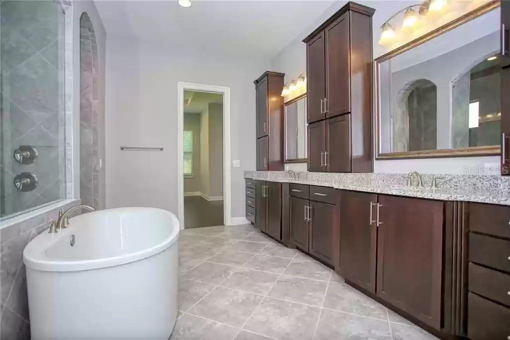 688 CANOPY ESTATES DR, WINTER GARDEN, FL, 34787