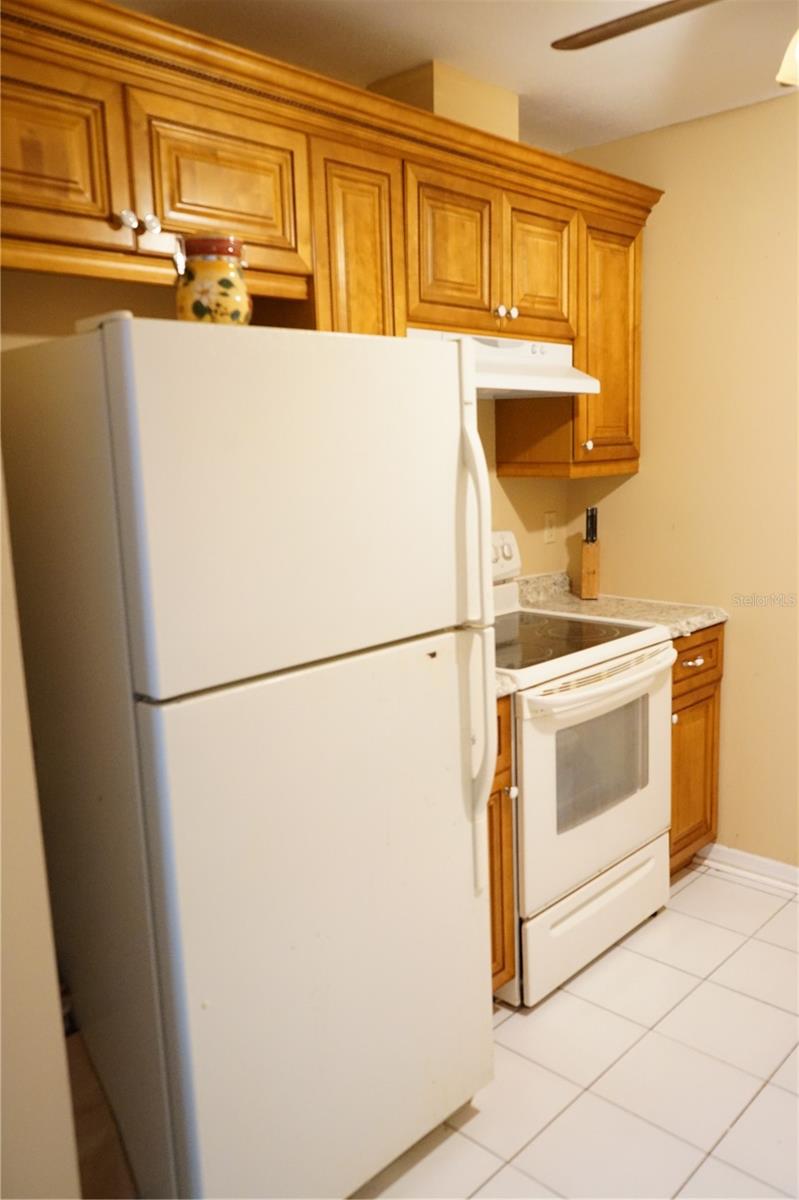 408 GLOUCESTER BLVD #33, SUN CITY CENTER, FL, 33573
