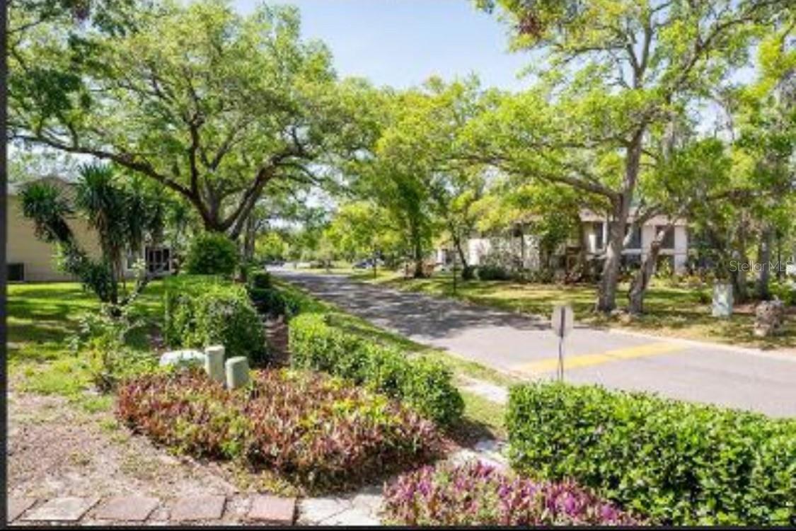2409 GUN FLINT TRL, PALM HARBOR, FL, 34683