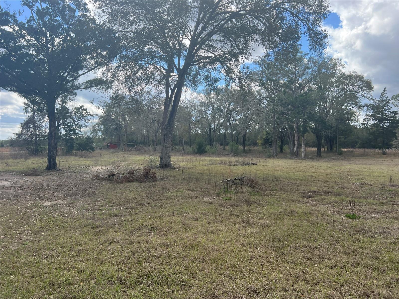 6766 264TH ST, BRANFORD, FL, 32008