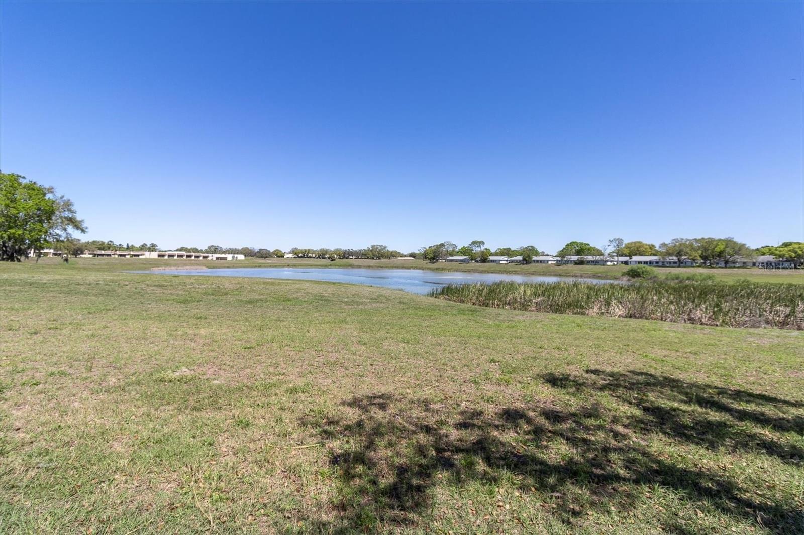 8231 PALENCIA DR, PORT RICHEY, FL, 34668