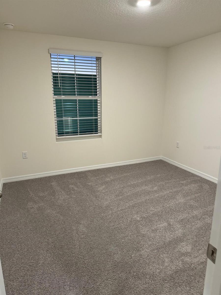 SOUTH MEWS/AVIAN POINTE, APOPKA, FL, 32703