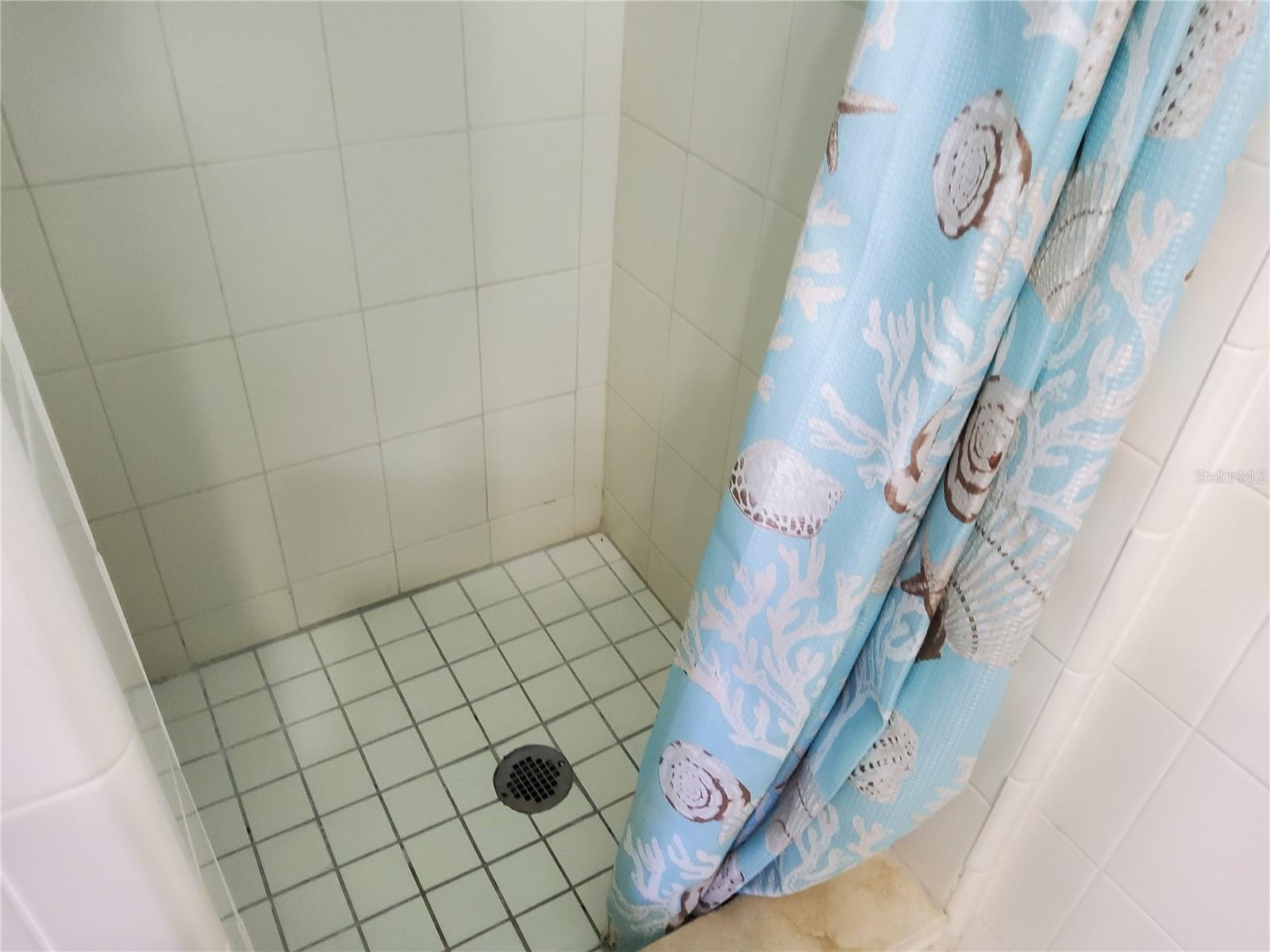 603 MANDALAY AVE #212, CLEARWATER, FL, 33767