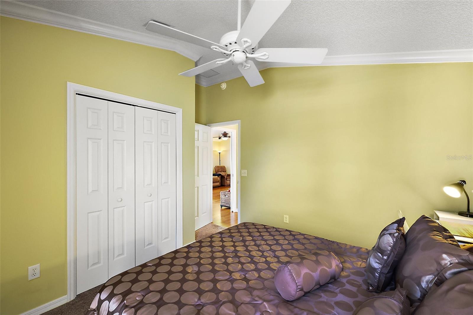 1625 BELLE GROVE DR, THE VILLAGES, FL, 32162