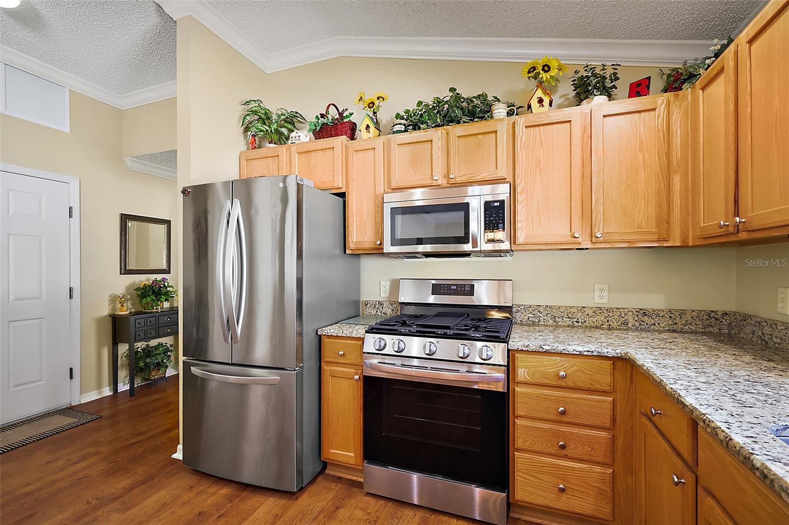 1625 BELLE GROVE DR, THE VILLAGES, FL, 32162