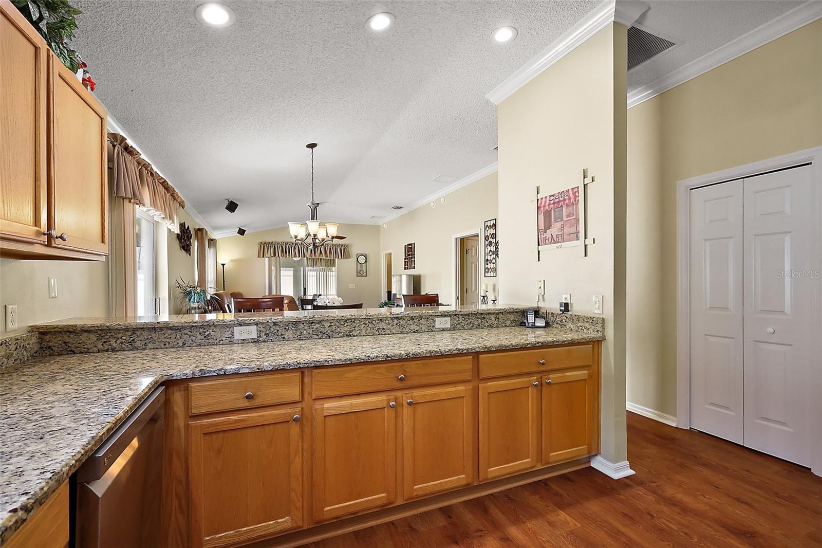 1625 BELLE GROVE DR, THE VILLAGES, FL, 32162
