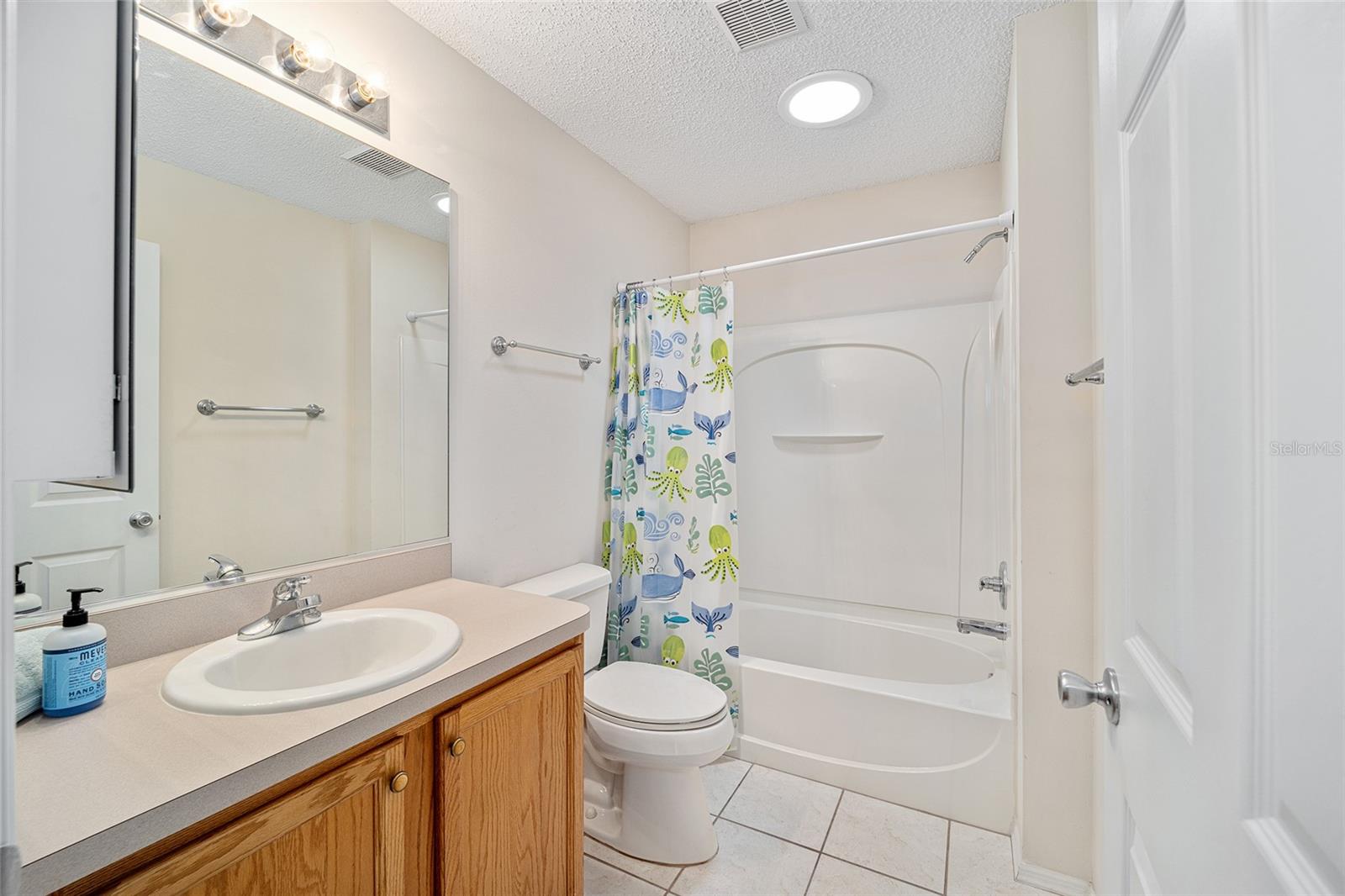 2669 HASTINGS LN, THE VILLAGES, FL, 32162