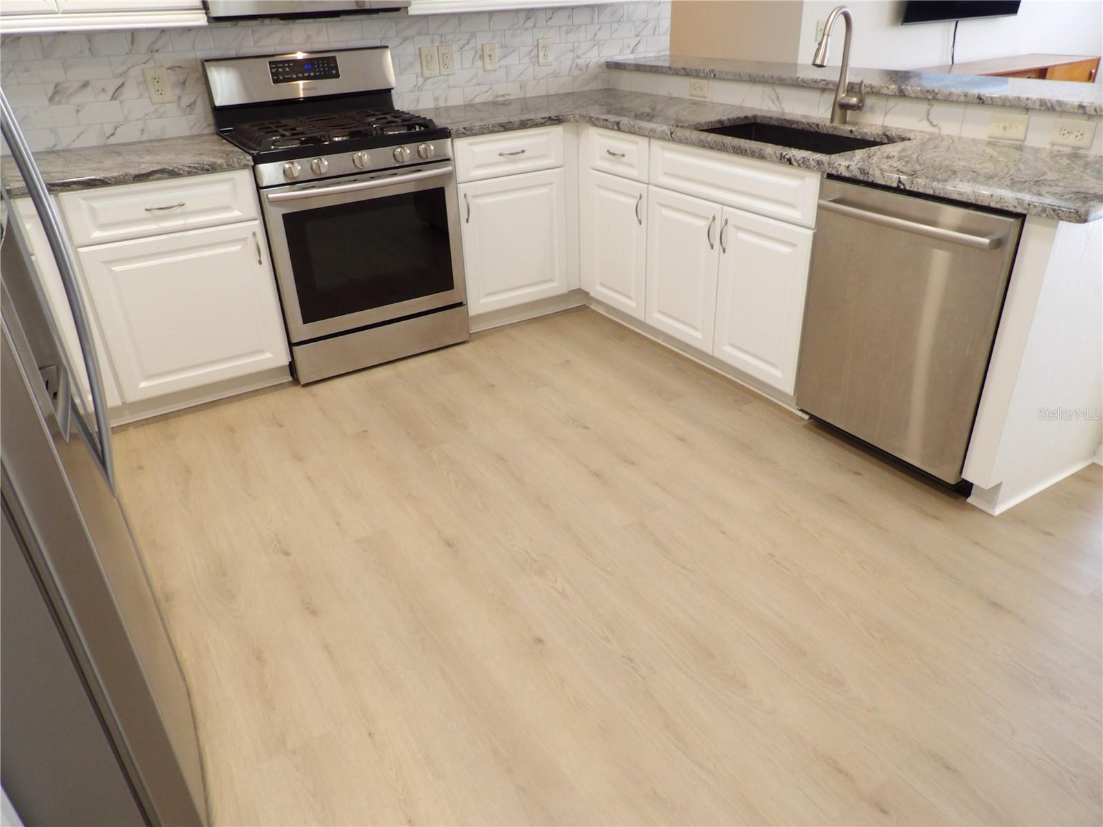 2669 HASTINGS LN, THE VILLAGES, FL, 32162