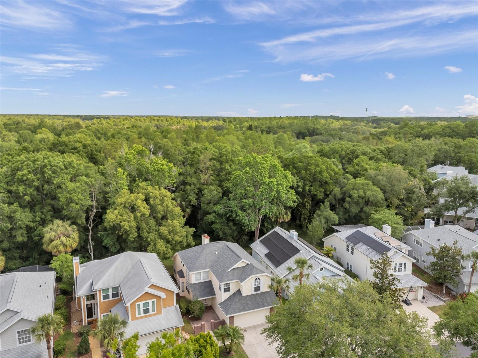 5014 STERLING MANOR DR, TAMPA, FL, 33647