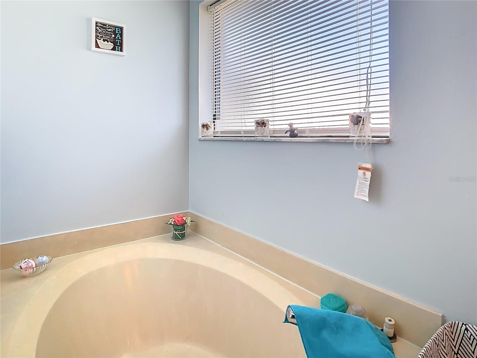 11635 DARLINGTON DR, ORLANDO, FL, 32837