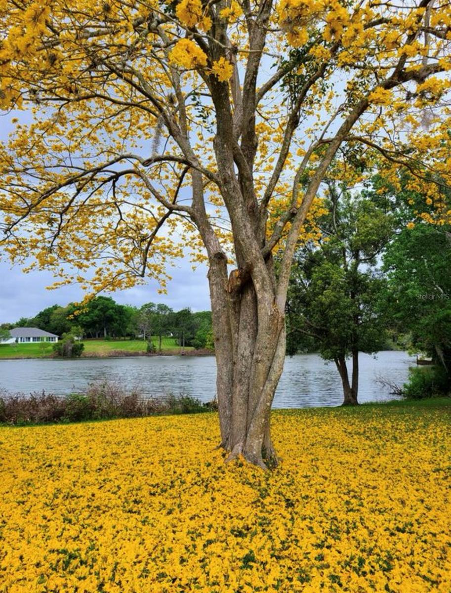 968 ROSETTA CT, DELTONA, FL, 32725