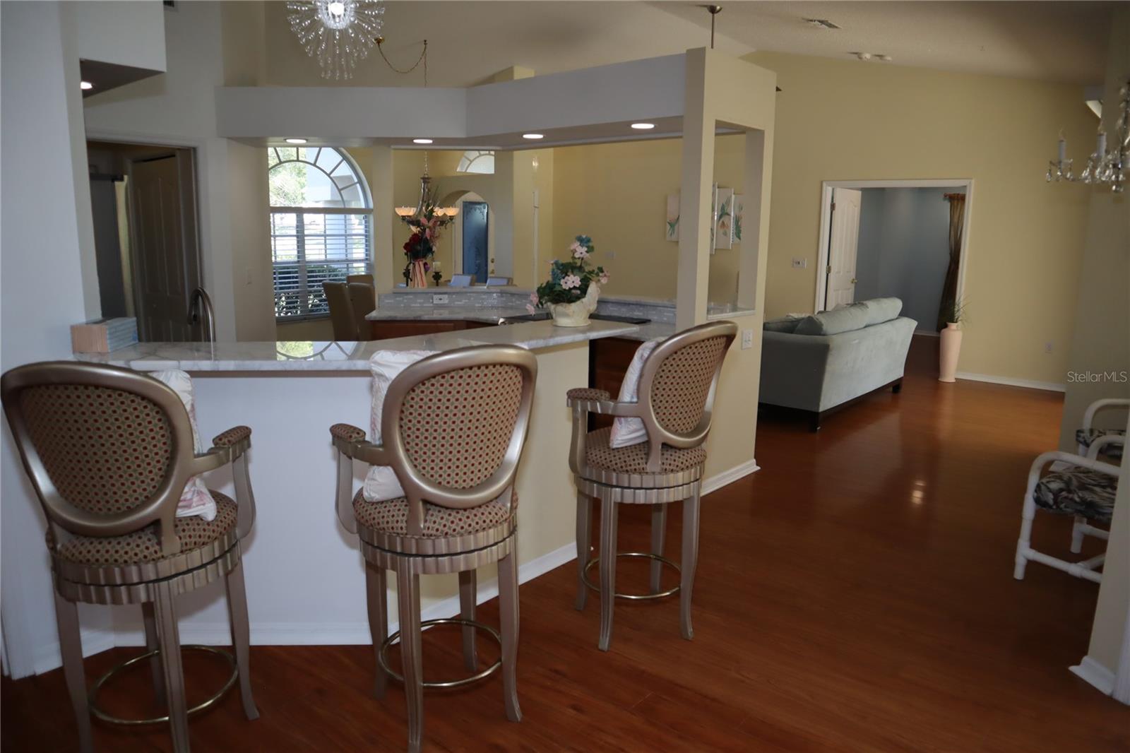 11480 EMERALD RIDGE CT, SPRING HILL, FL, 34609