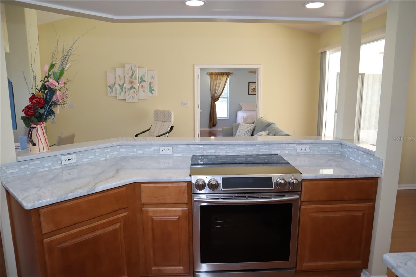 11480 EMERALD RIDGE CT, SPRING HILL, FL, 34609