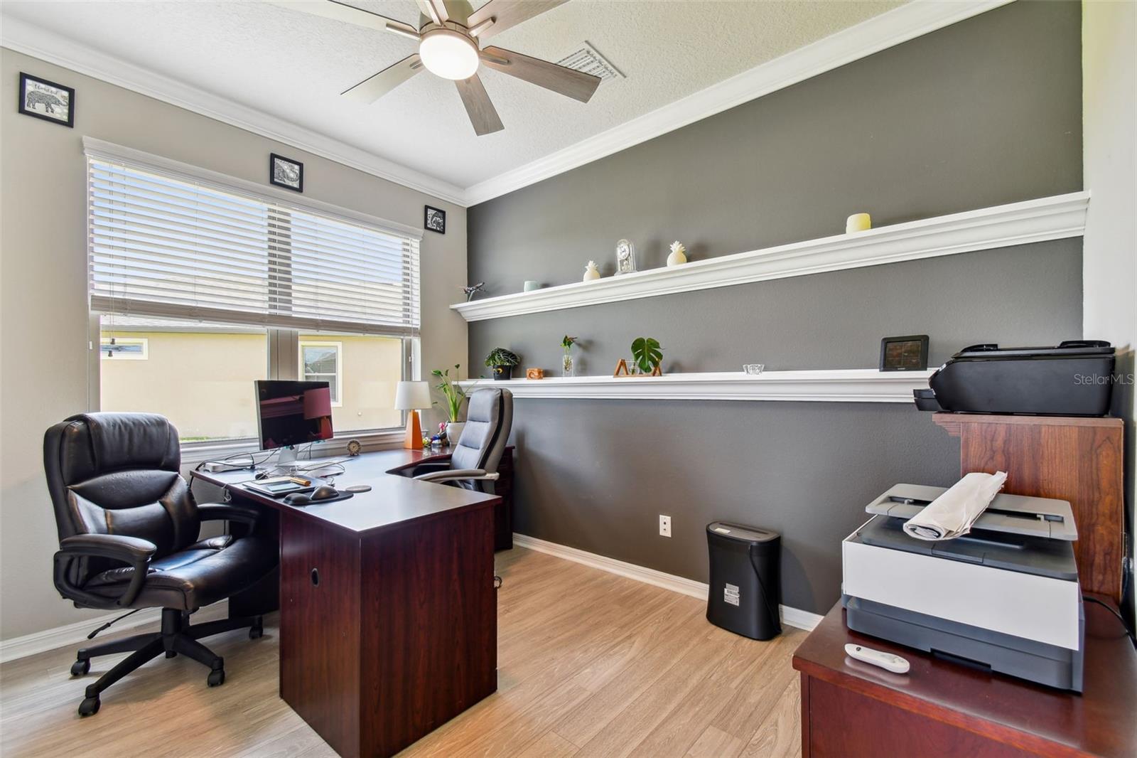 8100 OLIVE BROOK DR, WESLEY CHAPEL, FL, 33545