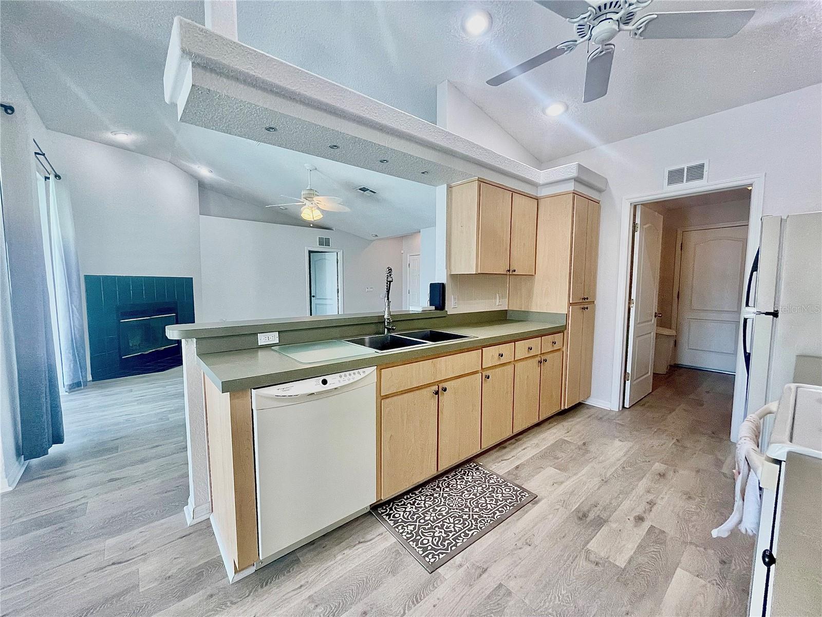 1012 GODFREY AVE, SPRING HILL, FL, 34609