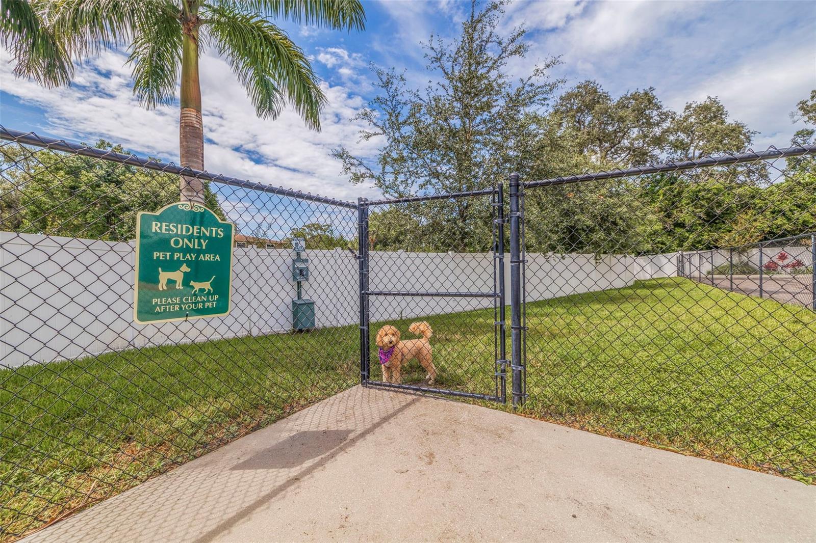 2570 12TH PL N, ST PETERSBURG, FL, 33713