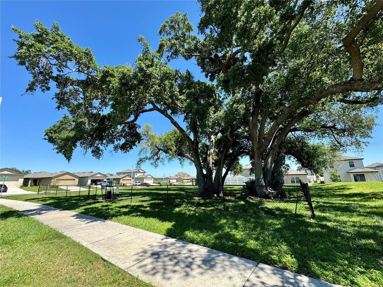 30175 BOONIE RD, BROOKSVILLE, FL, 34602