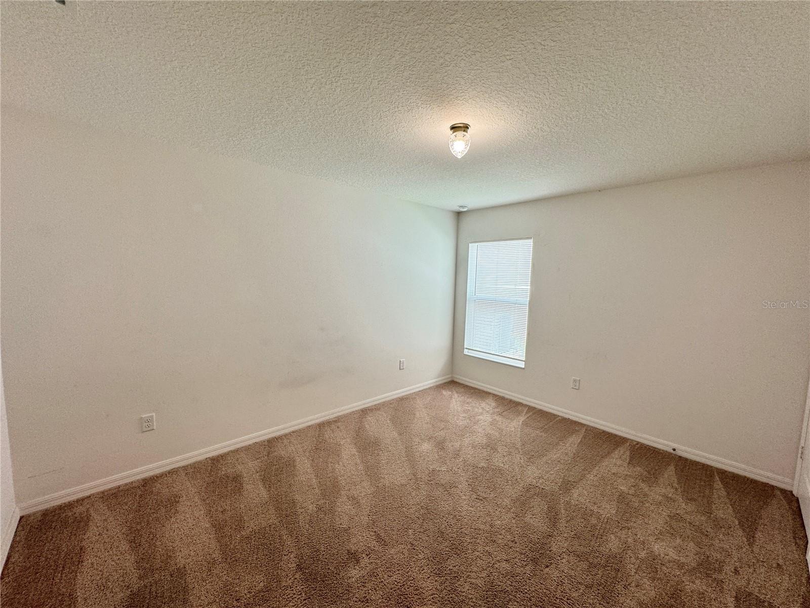 30175 BOONIE RD, BROOKSVILLE, FL, 34602